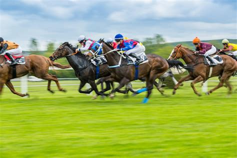 Irish Derby Betting 2024 ️ Horse Racing Betting Ireland.